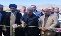 افتتاحیه جشنواره گل محمدی روستای محمدیه شهرستان تیران و کرون 